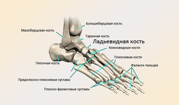 Ревматоидный артрит пяточной кости thumbnail
